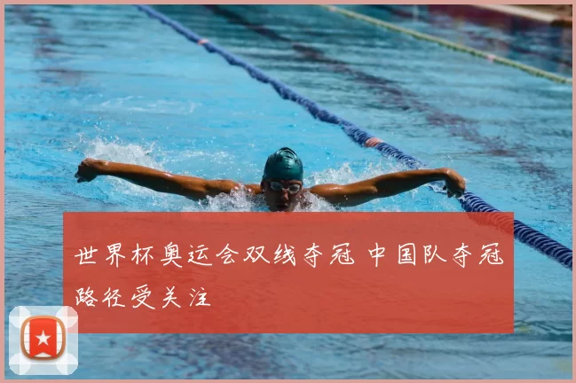 世界杯奥运会双线夺冠 中国队夺冠路径受关注